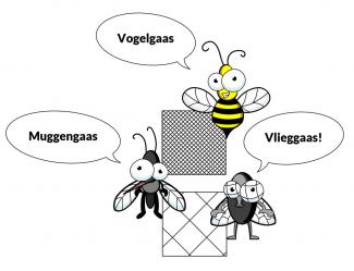 Vlieggaas of vogelgaas